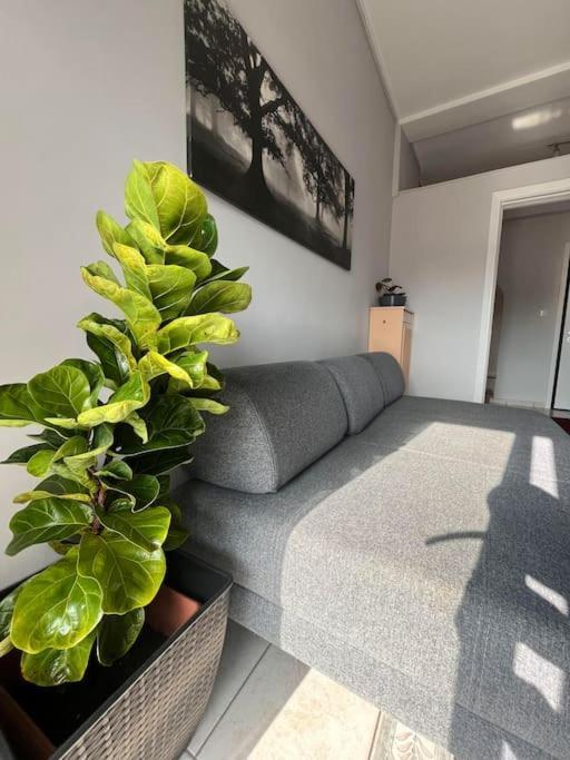Maria'S Sunlit Apartment Piraeus Bagian luar foto